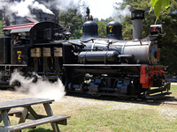 Steam Train Tour